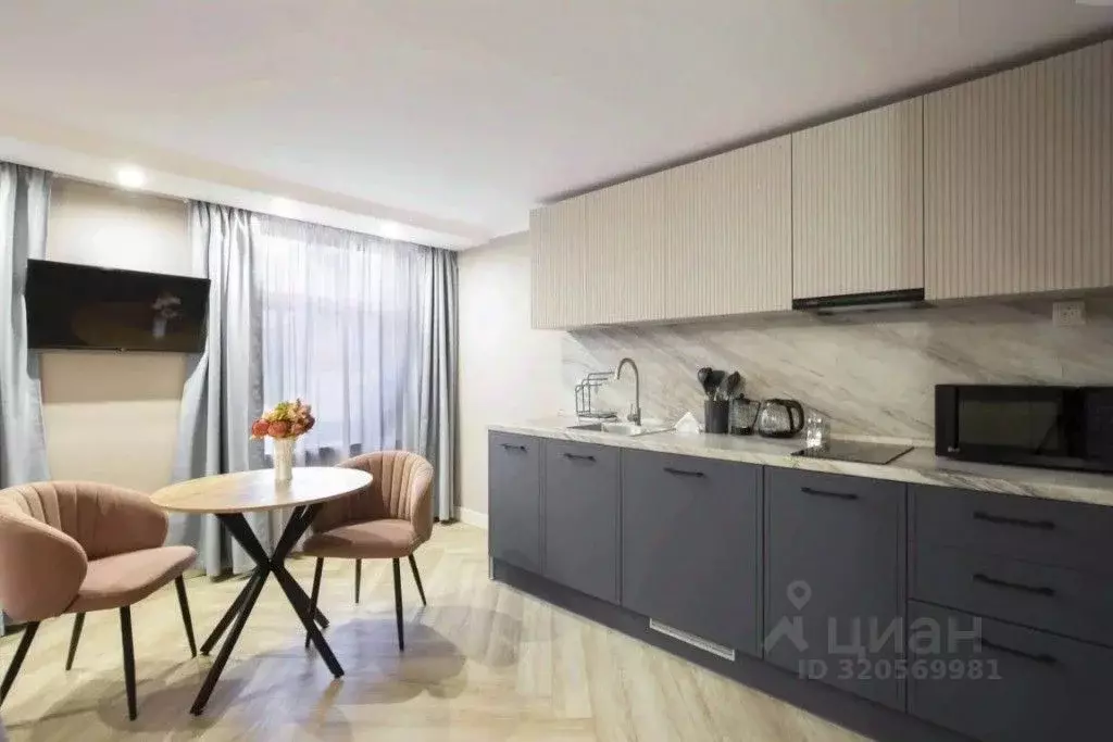 1-к кв. Санкт-Петербург наб. Канала Грибоедова, 69 (25.0 м) - Фото 2