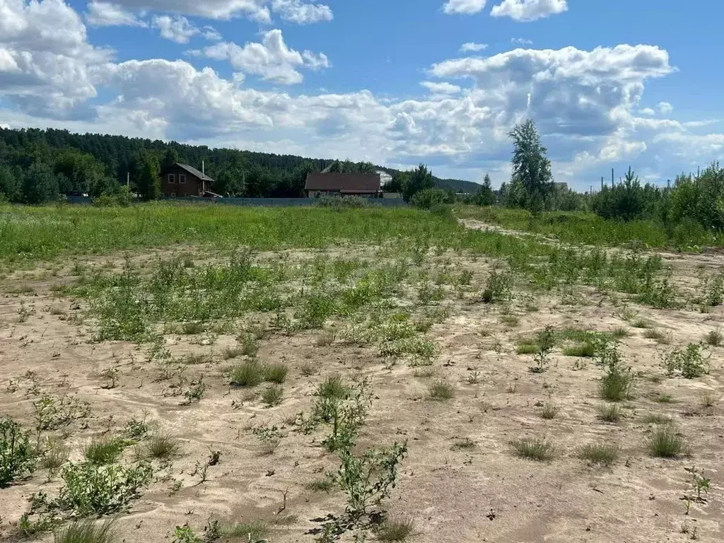 Участок в Новосибирская область, Новосибирский район, Кубовинский ... - Фото 1