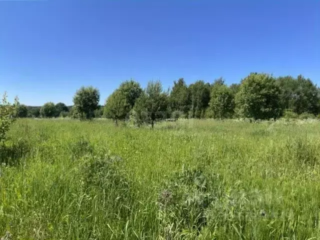 Участок в Калужская область, Малоярославецкий муниципальный округ, ... - Фото 2