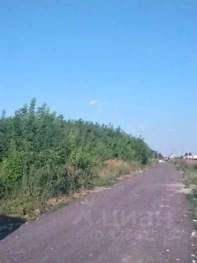 Участок в Нижегородская область, Володарский муниципальный округ, ... - Фото 1