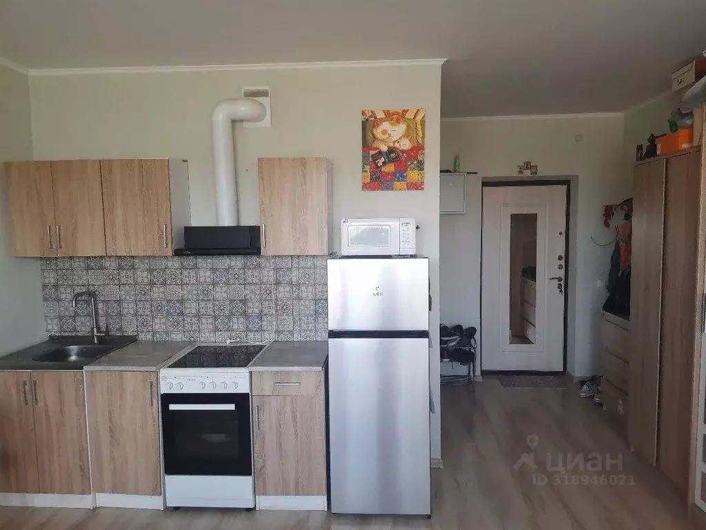 Студия Ленинградская область, Всеволожск ул. Шевченко, 18К3 (29.6 м) - Фото 1