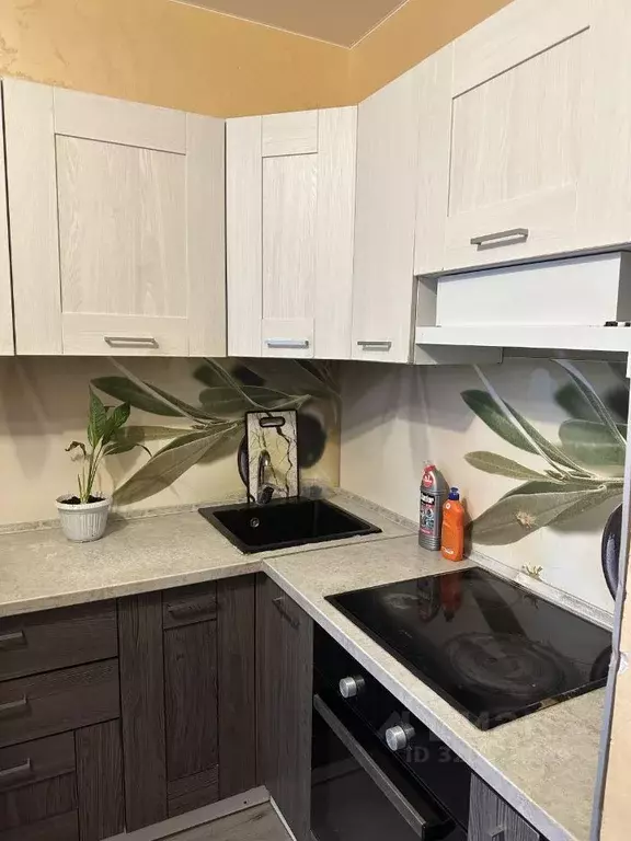 1-к кв. Московская область, Ленинский городской округ, д. Сапроново, ... - Фото 1