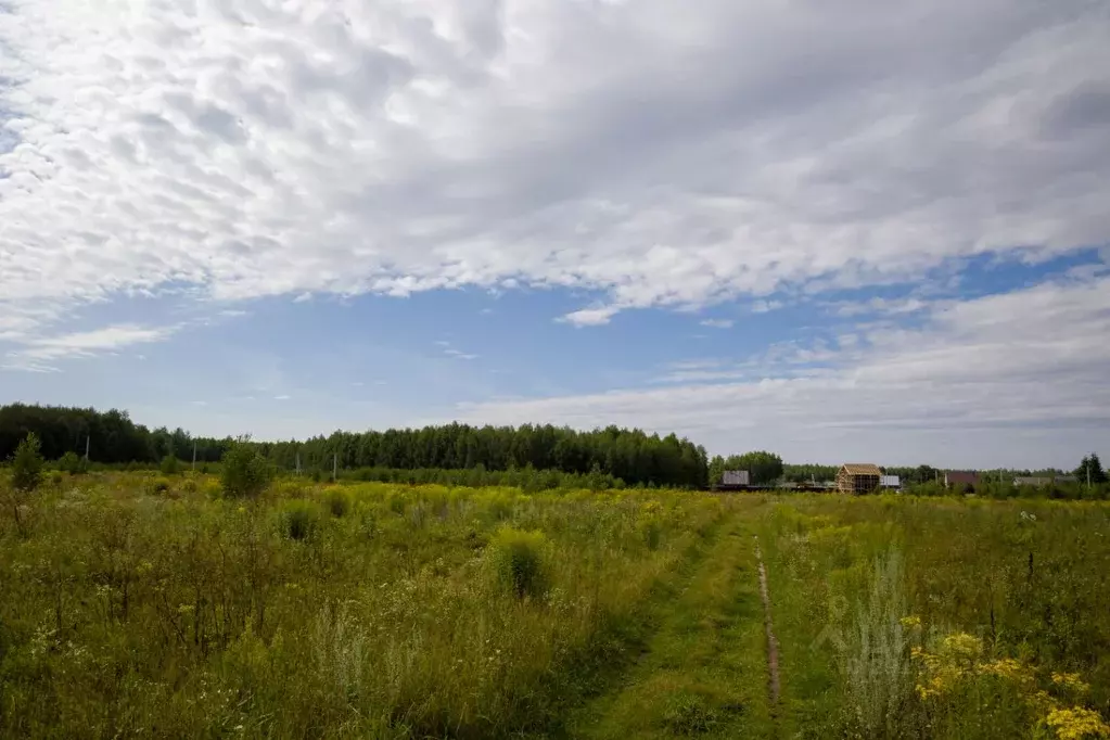 Участок в Нижегородская область, Балахнинский муниципальный округ, д. ... - Фото 2