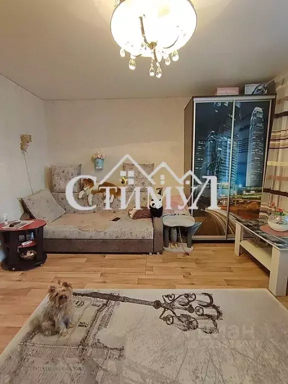 1-к кв. Хакасия, Черногорск Октябрьская ул., 98 (39.9 м) - Фото 2