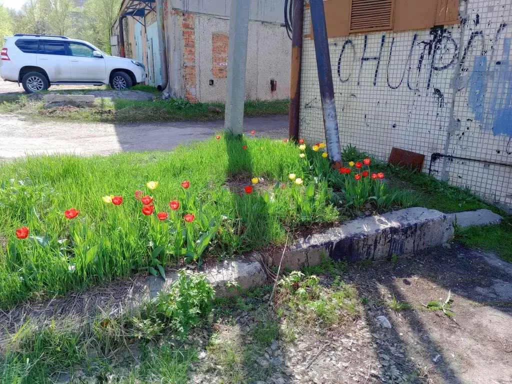 Гараж в Саратовская область, Саратов ул. Имени В.И. Лебедева-Кумача, ... - Фото 0