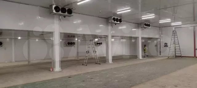 Пищевое производство с санзоной - Фото 0