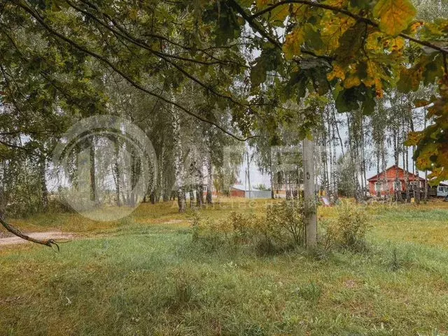 Участок 12 сот. (личное подсобное хозяйство (лпх)) - Фото 0