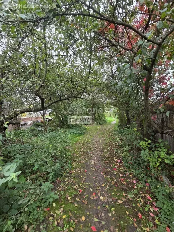 Участок в Красногорск, Зелёная улица, 50 (5.7999997 м) - Фото 2