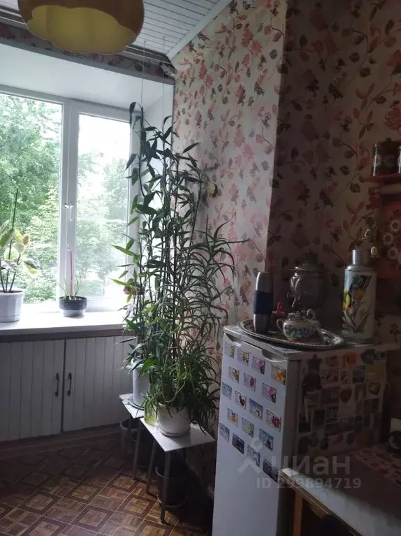 Комната Москва Большая Татарская ул., 26 (18.0 м) - Фото 2