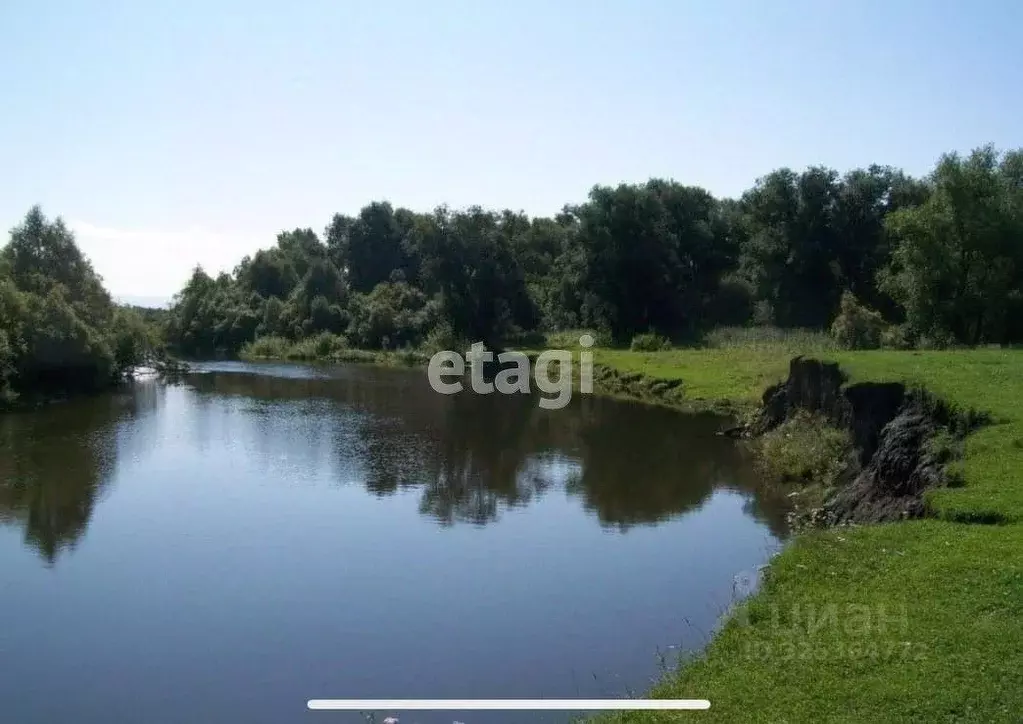 Участок в Красноярский край, Красноярск городской округ, Березовка ... - Фото 1