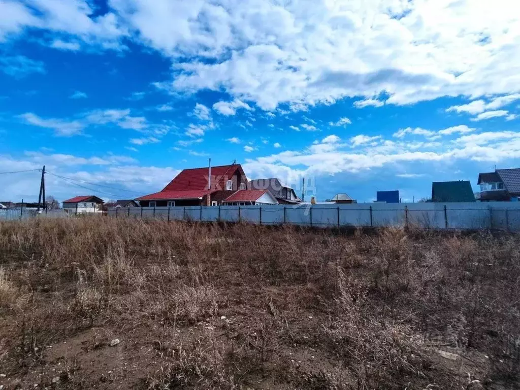 Участок в Новосибирская область, Бердск Заречное садовое товарищество, ... - Фото 1