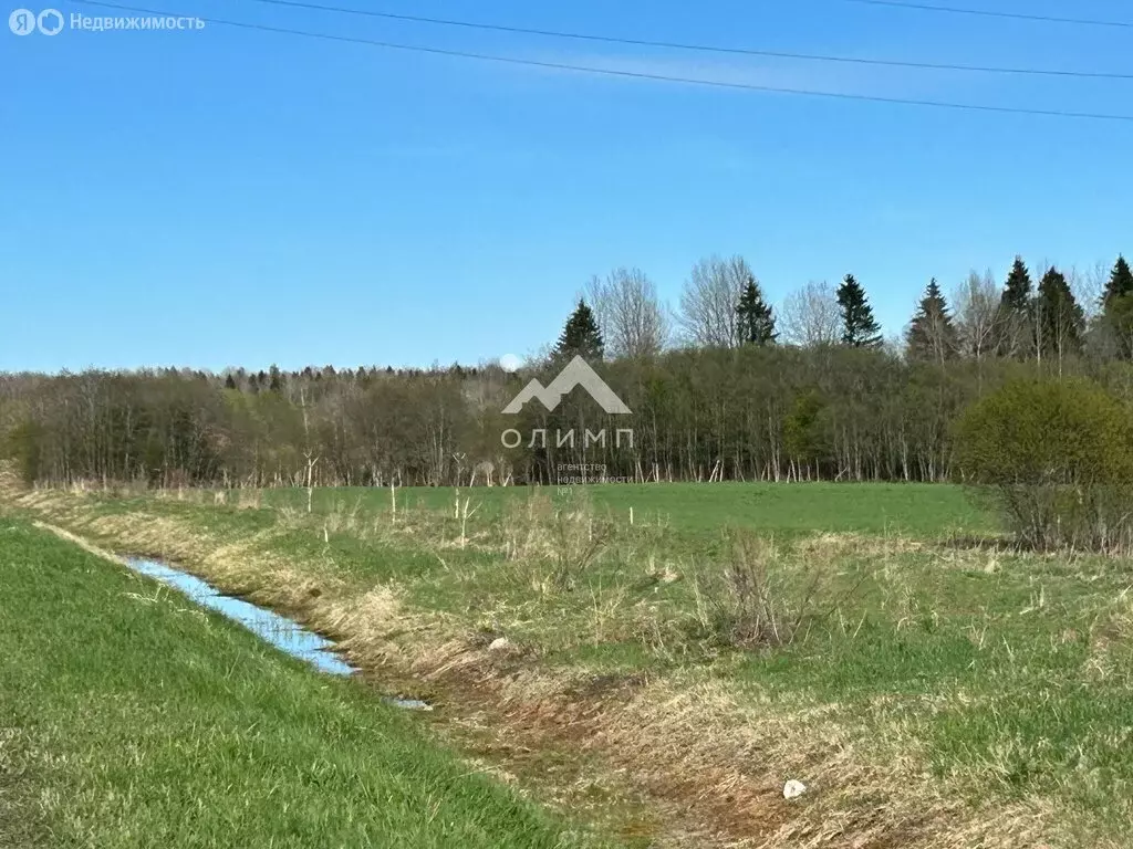 Участок в Вологодский муниципальный округ, село Остахово (15 м) - Фото 2