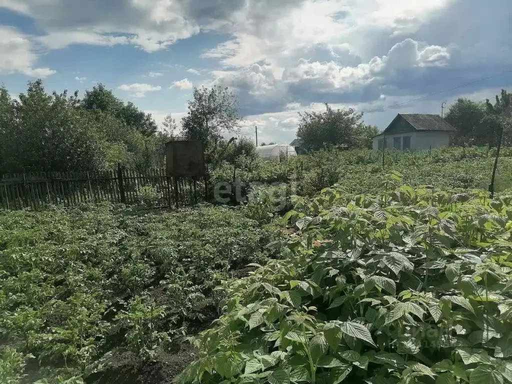 Дом в Челябинская область, Чебаркуль Литейщик СНТ,  (12 м) - Фото 1