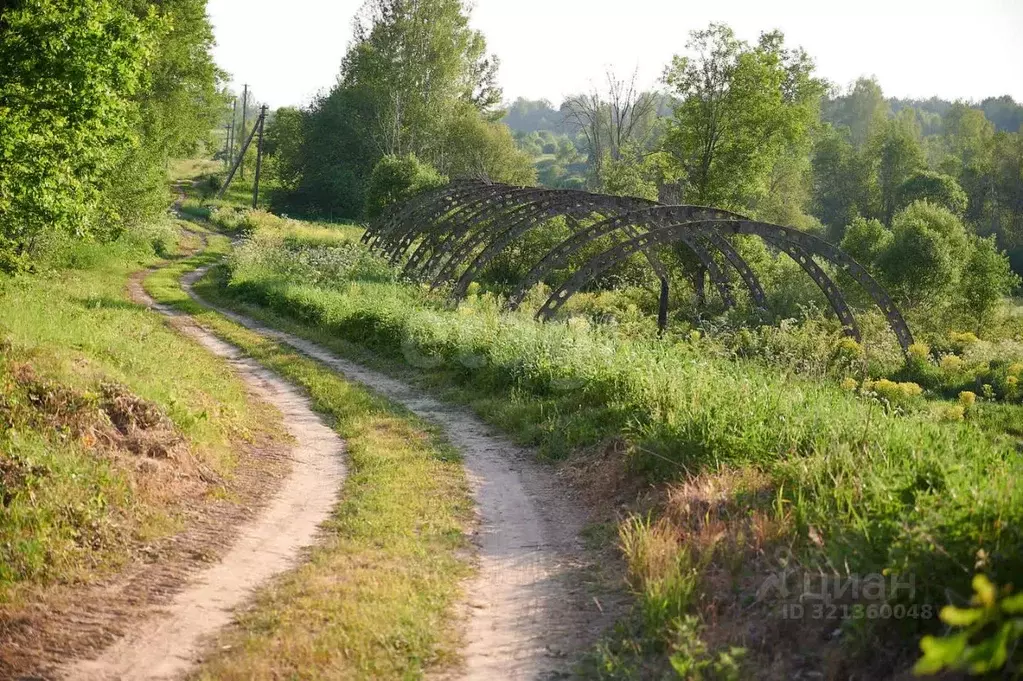Участок в Псковская область, Островский район, Воронцовская волость, ... - Фото 1