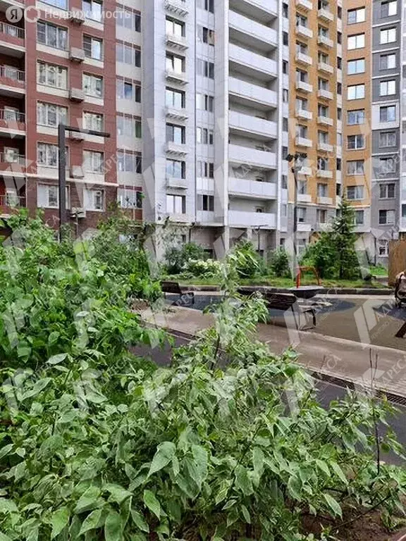 2-комнатная квартира: деревня Бородино, Малая Бородинская улица, 1к1 ... - Фото 1