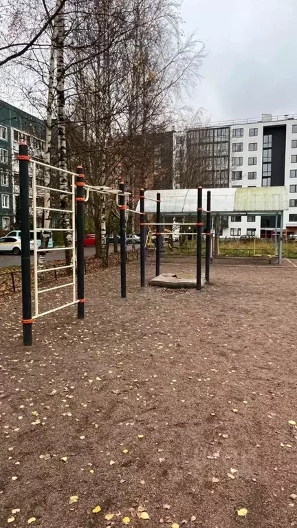 Студия Ленинградская область, Всеволожский район, Романовское с/пос, ... - Фото 2