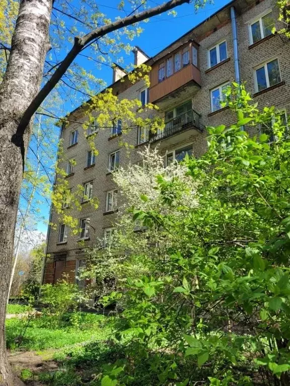 1-к кв. Санкт-Петербург просп. Энгельса, 98 (31.5 м) - Фото 1