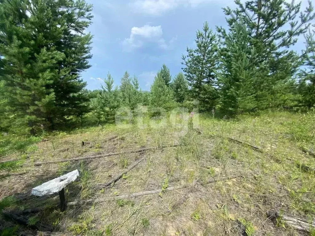 Участок в Бурятия, Улан-Удэ Весна ДНТ, Б9 (7.3 сот.) - Фото 0