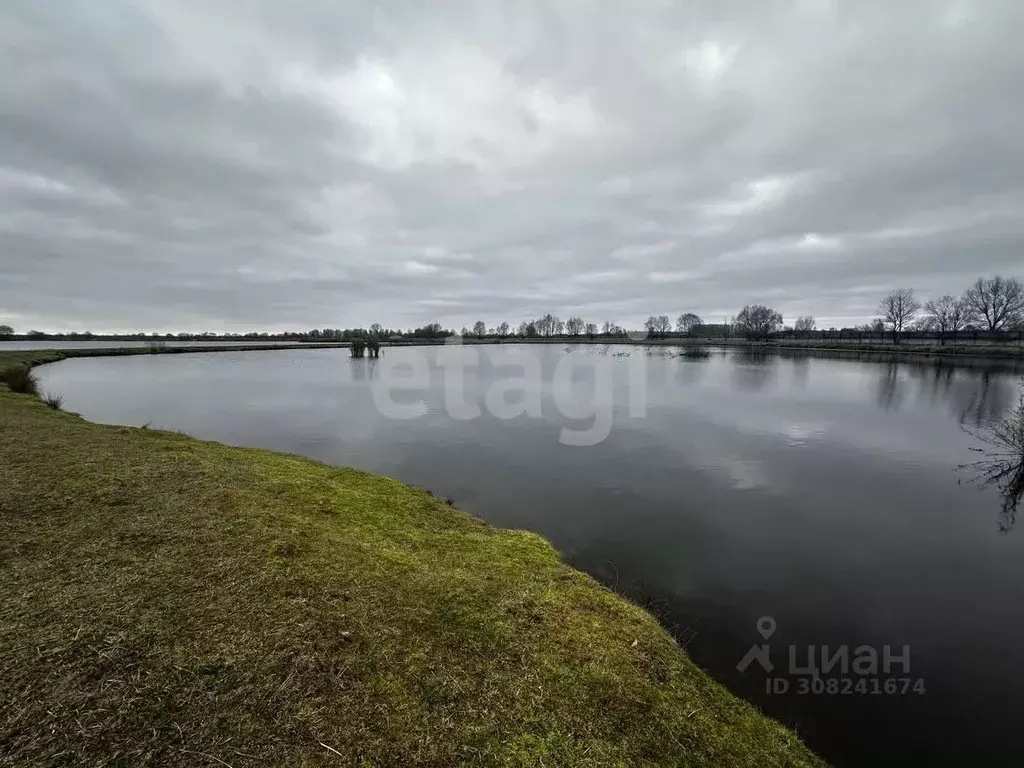 Производственное помещение в Брянская область, Карачевский район, ... - Фото 0