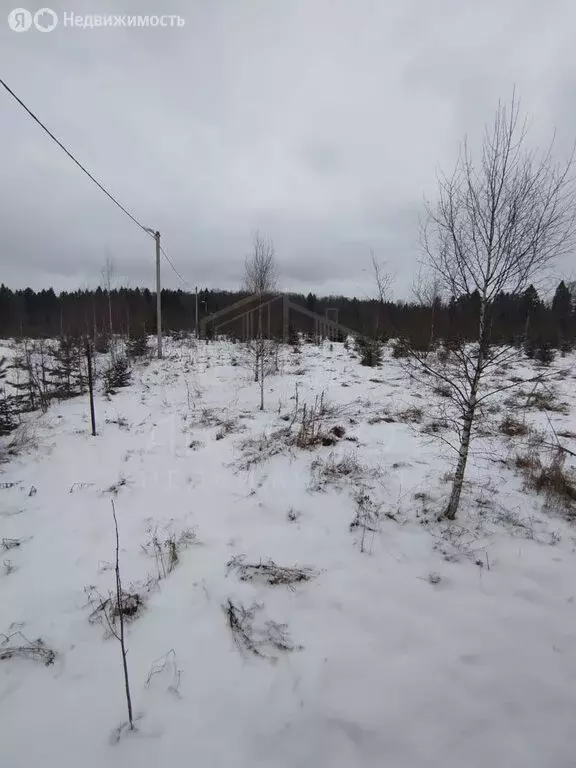 Участок в Сергиево-Посадский городской округ, СНТ Импульс (100 м) - Фото 1