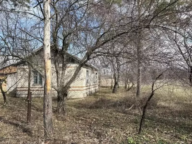 Дача 53,5 м на участке 90 сот. - Фото 1