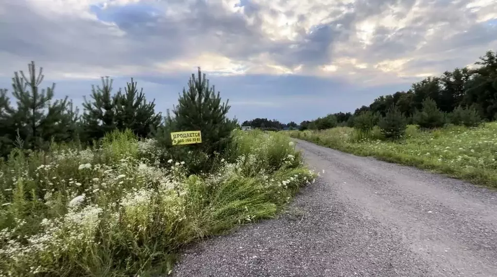 Участок в Московская область, Ступино городской округ, Новое ... - Фото 1