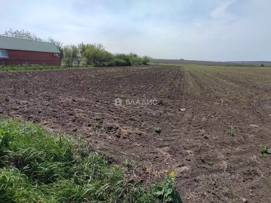 Участок в Краснодарский край, Щербиновское с/пос, пос. Щербиновский ... - Фото 1