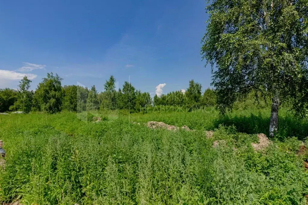 Участок в Тюменская область, Тюмень  (8.4 сот.) - Фото 1