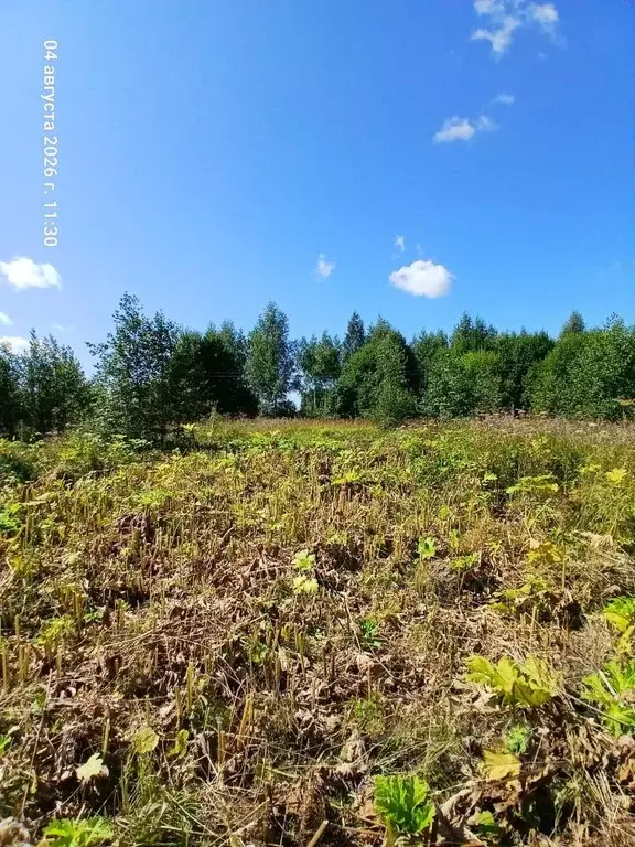 Участок в Московская область, Шаховская муниципальный округ, д. ... - Фото 2
