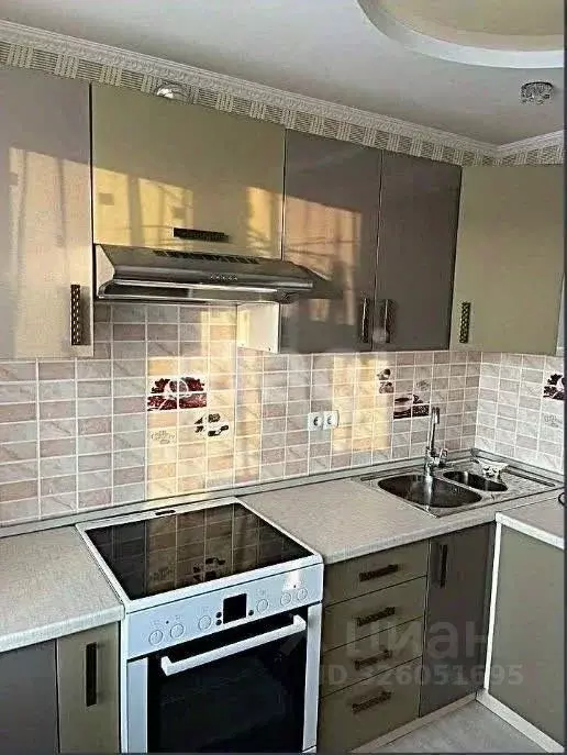 1-к кв. Амурская область, Благовещенский район, с. Чигири ул. ... - Фото 2