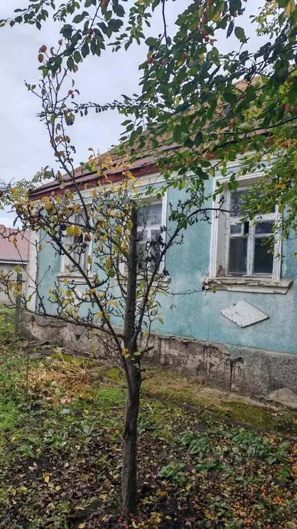 Дом в Белгородская область, Белгород Везельская ул. (54 м) - Фото 1