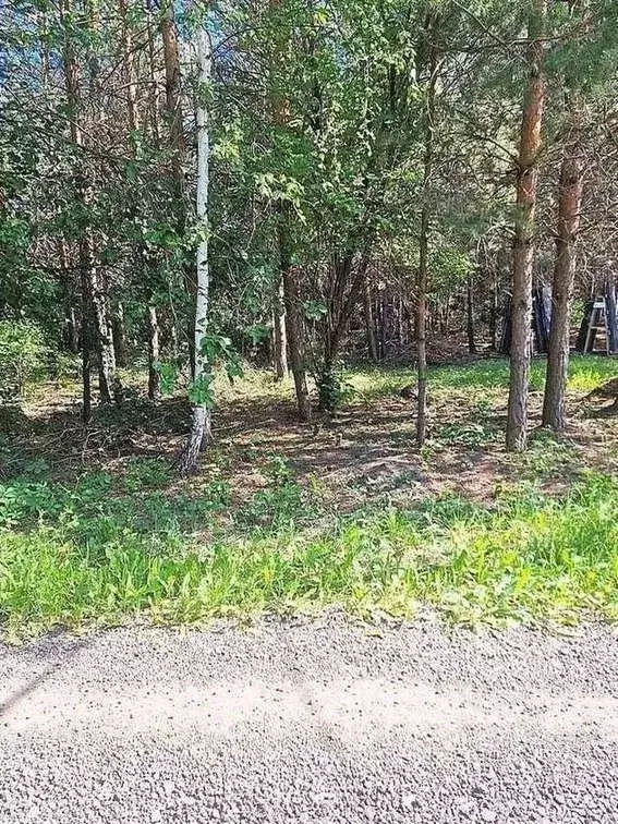 Участок в Воронежская область, Воронеж Большая Семья СНТ, ул. ... - Фото 1