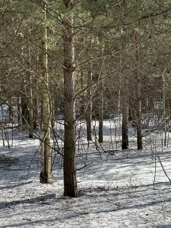Участок в Московская область, Красногорск городской округ, Нахабино ... - Фото 1