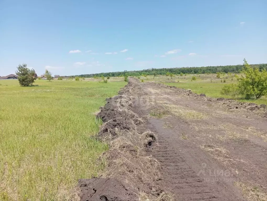 Участок в Белгородская область, Старый Оскол Пушкарские Дачи-2 мкр,  ... - Фото 1