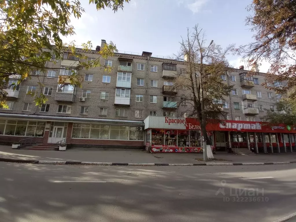 1-к кв. Нижегородская область, Бор ул. Ленина, 172 (30.0 м) - Фото 0