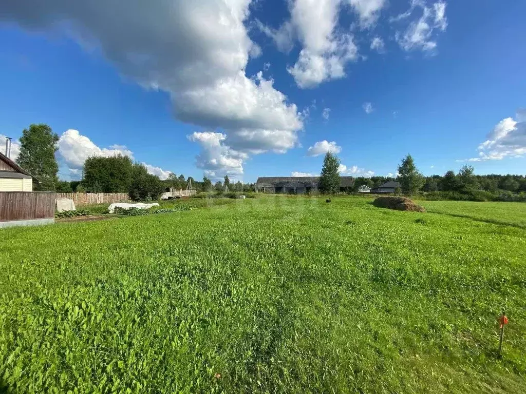 Участок в Тверская область, Калининский муниципальный округ, д. ... - Фото 1