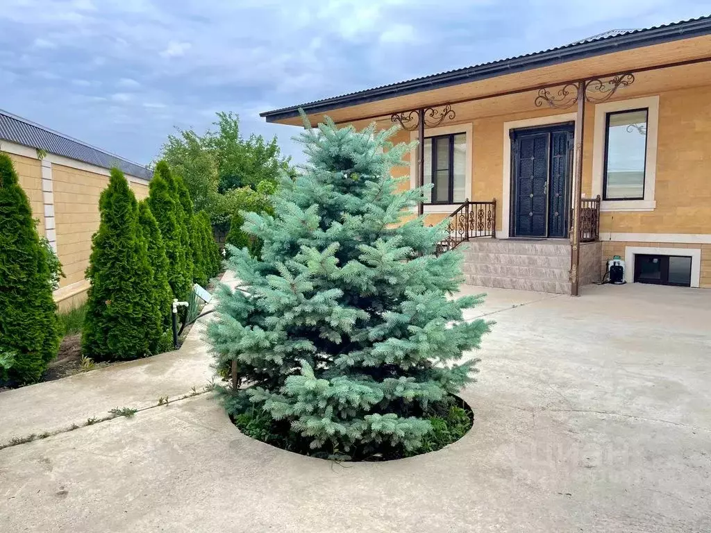 Дом в Дагестан, Дербент ул. Березка, 24 (75 м) - Фото 1