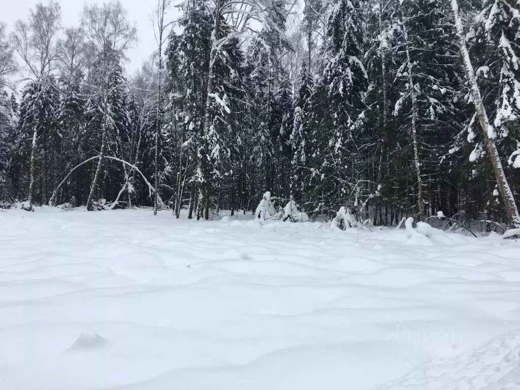 Участок в Московская область, Пушкинский городской округ, д. Могильцы  ... - Фото 1