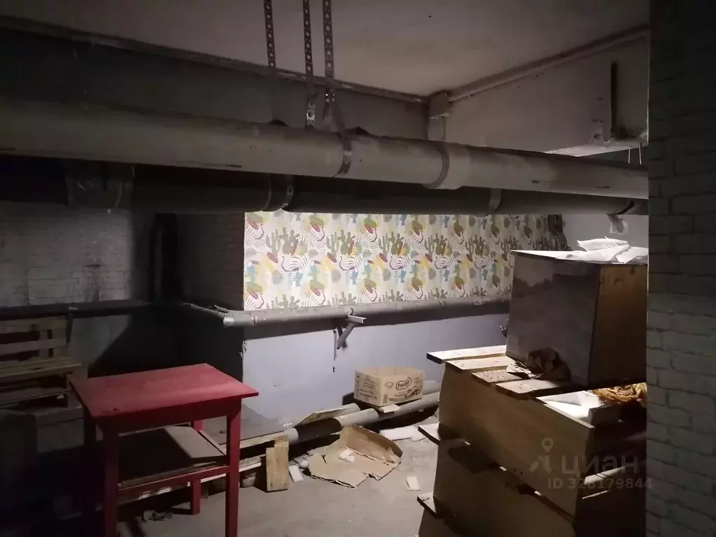 Помещение свободного назначения в Челябинская область, Озерск просп. ... - Фото 2