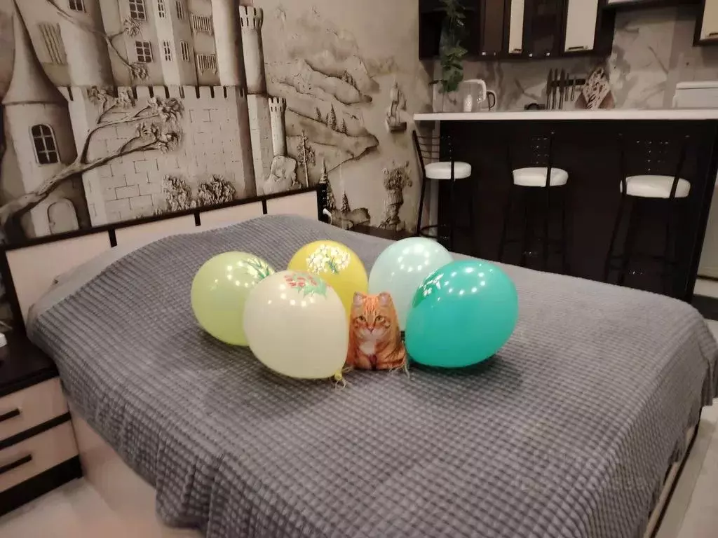 Студия Ленинградская область, Выборг ул. Сторожевой Башни, 9 (23.0 м) - Фото 1