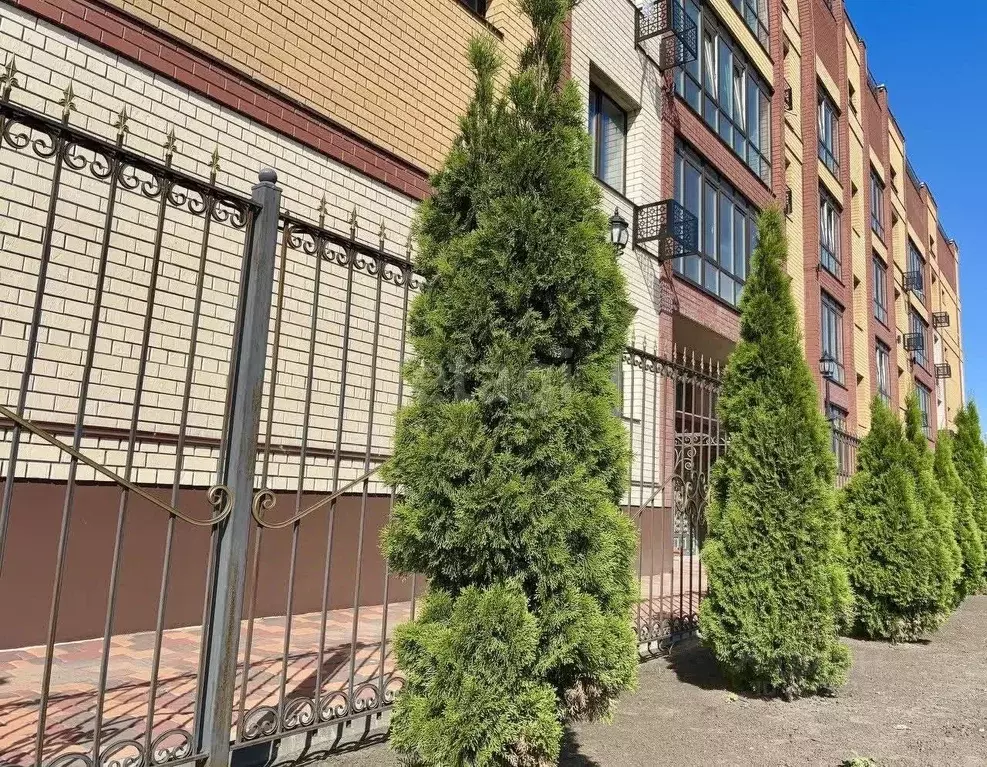 3-к кв. Тамбовская область, Тамбов ул. Гиляровского, 26В (77.1 м) - Фото 1
