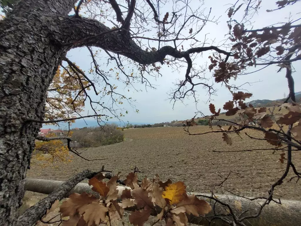 Участок в Крым, Ялта муниципальный округ, Кореиз пгт  (10.0 сот.) - Фото 1