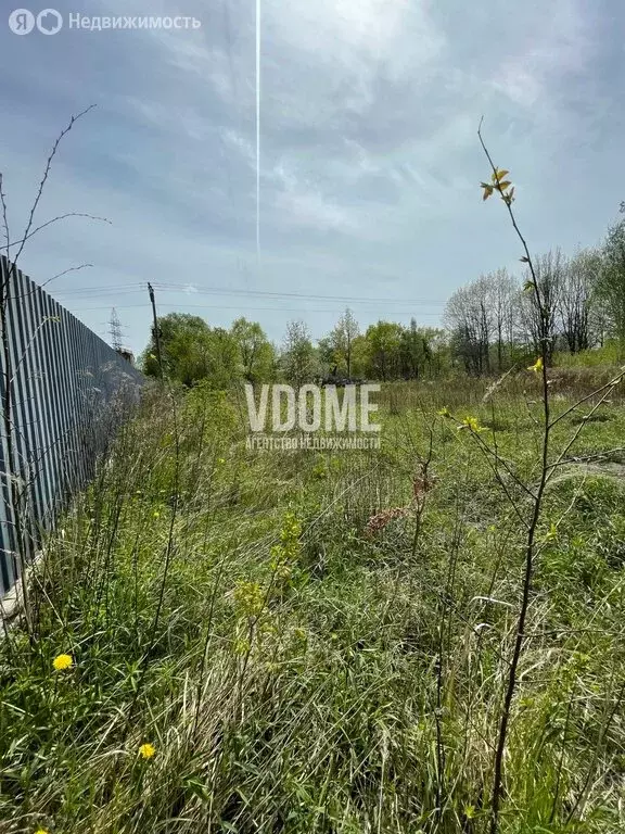 Участок в Калининград, СНТ Ивушка, 65 (7.9 м) - Фото 2