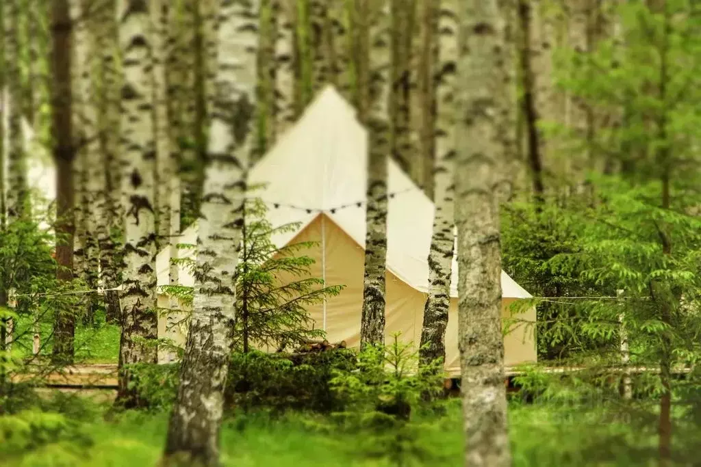Дом в Нижегородская область, Сокольский муниципальный округ, д. ... - Фото 1