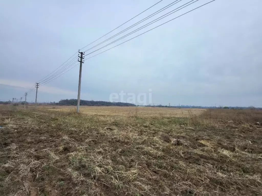 Участок в Амурская область, Благовещенск Северная ул. (1063.0 сот.) - Фото 0