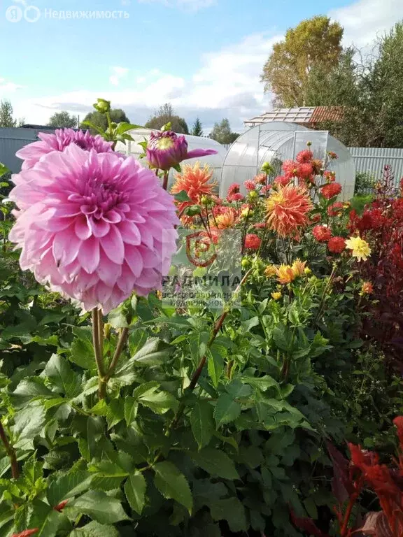 Участок в Сергиево-Посадский городской округ, деревня Федорцово (8 м) - Фото 1