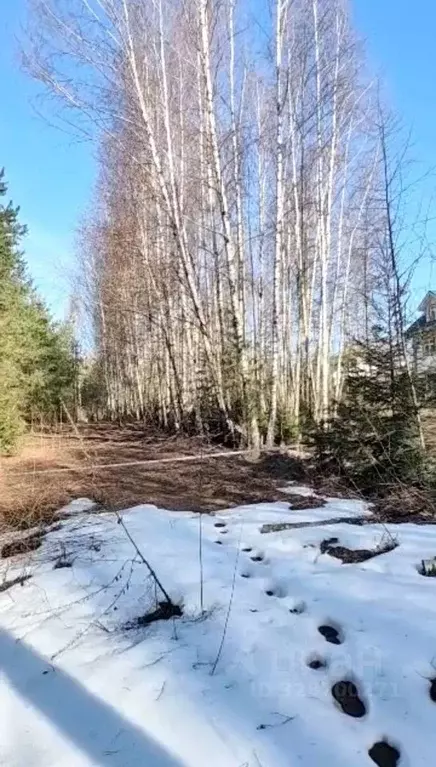 Участок в Тверская область, Кимрский муниципальный округ, д. Кочнево  ... - Фото 2
