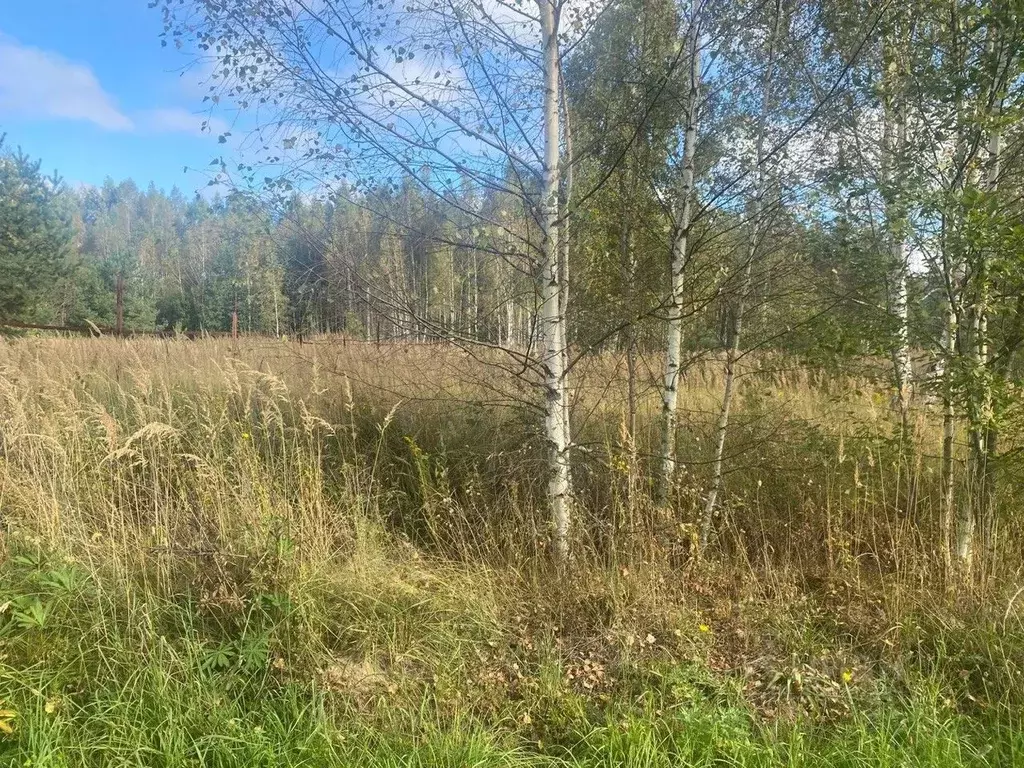 Участок в Московская область, Орехово-Зуевский городской округ, д. ... - Фото 0