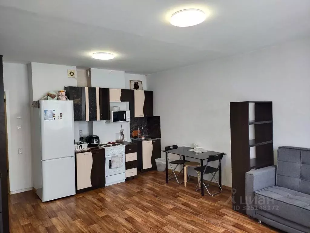 Студия Новосибирская область, Новосибирск ул. Татьяны Снежиной, 49/2 ... - Фото 1