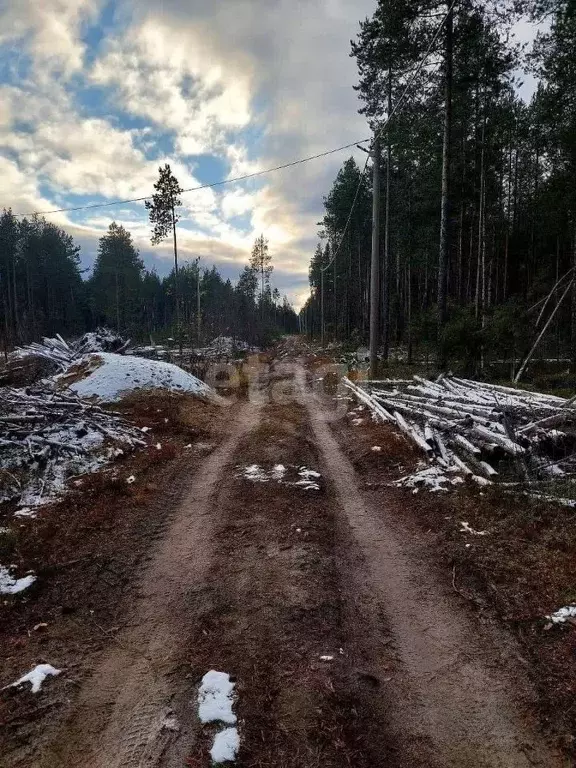 Участок в Коми, Корткеросский район, Корткерос муниципальное ... - Фото 1